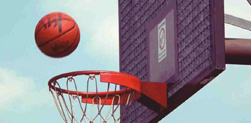 Basket Ball Half Court